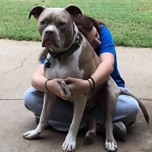 Meet your Posher, Deanda